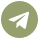 Telegram icon for sharing
